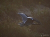 Filename=000006_fotowilga.JPG
Filesize=222KB
Dimensions=700x525
Date added=Oct 26, 2019 000006_fotowilga.JPG