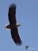 Filename=0000092_fotowilga~63.JPG
Filesize=208KB
Dimensions=525x700
Date added=Oct 09, 2019 0000092_fotowilga~63.JPG