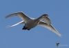 Filename=0000100_fotowilga.JPG
Filesize=202KB
Dimensions=700x495
Date added=Oct 14, 2021 0000100_fotowilga.JPG