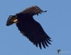 Filename=0000100_fotowilga~0.JPG
Filesize=256KB
Dimensions=700x547
Date added=Mar 19, 2022 0000100_fotowilga~0.JPG