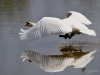 Filename=0000107_fotowilga~62.JPG
Filesize=240KB
Dimensions=700x525
Date added=Jun 03, 2019 0000107_fotowilga~62.JPG