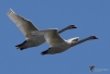 Filename=0000110_fotowilga~0.JPG
Filesize=216KB
Dimensions=700x478
Date added=Oct 14, 2021 0000110_fotowilga~0.JPG