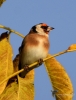 Filename=0000114_fotowilga.JPG
Filesize=249KB
Dimensions=534x700
Date added=Oct 05, 2021 0000114_fotowilga.JPG