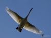 Filename=0000122_fotowilga~47.JPG
Filesize=219KB
Dimensions=700x525
Date added=Sep 26, 2019 0000122_fotowilga~47.JPG