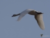 Filename=0000123_fotowilga~0.JPG
Filesize=215KB
Dimensions=700x532
Date added=Oct 22, 2022 0000123_fotowilga~0.JPG