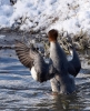 Filename=0000124_fotowilga.JPG
Filesize=381KB
Dimensions=567x700
Date added=Feb 12, 2021 0000124_fotowilga.JPG