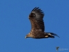 Filename=0000125_fotowilga~0.JPG
Filesize=228KB
Dimensions=700x532
Date added=Apr 03, 2023 0000125_fotowilga~0.JPG