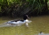 Filename=0000128_fotowilga~0.JPG
Filesize=315KB
Dimensions=700x500
Date added=May 17, 2021 0000128_fotowilga~0.JPG