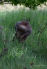 Filename=000012_fotowilga~33.JPG
Filesize=266KB
Dimensions=478x700
Date added=Apr 18, 2018 000012_fotowilga~33.JPG