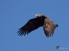 Filename=0000133_fotowilga.JPG
Filesize=223KB
Dimensions=700x525
Date added=Mar 02, 2019 0000133_fotowilga.JPG