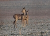 Filename=0000145_fotowilga.JPG
Filesize=310KB
Dimensions=700x507
Date added=Oct 19, 2021 0000145_fotowilga.JPG