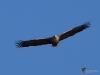 Filename=0000149_fotowilga~0.JPG
Filesize=189KB
Dimensions=700x525
Date added=Feb 04, 2022 0000149_fotowilga~0.JPG