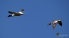 Filename=0000158_fotowilga.JPG
Filesize=129KB
Dimensions=700x389
Date added=May 17, 2021 0000158_fotowilga.JPG