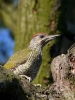 Filename=0000175_fotowilga~56.JPG
Filesize=301KB
Dimensions=525x700
Date added=Jul 03, 2019 0000175_fotowilga~56.JPG