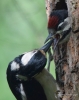 Filename=0000206_fotowilga~0.JPG
Filesize=295KB
Dimensions=557x700
Date added=Mar 06, 2022 0000206_fotowilga~0.JPG