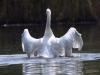 Filename=0000209_fotowilga~0.JPG
Filesize=317KB
Dimensions=700x527
Date added=Jun 26, 2022 0000209_fotowilga~0.JPG