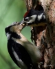 Filename=0000212_fotowilga~0.JPG
Filesize=293KB
Dimensions=561x700
Date added=Nov 15, 2022 0000212_fotowilga~0.JPG