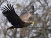 Filename=0000216_fotowilga~45.JPG
Filesize=249KB
Dimensions=700x525
Date added=Mar 05, 2018 0000216_fotowilga~45.JPG