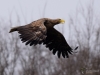 Filename=0000218_fotowilga~45.JPG
Filesize=203KB
Dimensions=700x525
Date added=Mar 05, 2018 0000218_fotowilga~45.JPG