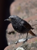 Filename=0000224_fotowilga~42.JPG
Filesize=249KB
Dimensions=525x700
Date added=Jul 29, 2018 0000224_fotowilga~42.JPG