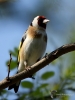Filename=0000226_fotowilga~47.JPG
Filesize=249KB
Dimensions=525x700
Date added=May 08, 2018 0000226_fotowilga~47.JPG