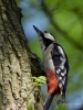 Filename=000022_fotowilga~54.JPG
Filesize=270KB
Dimensions=525x700
Date added=Apr 22, 2018 000022_fotowilga~54.JPG