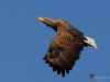 Filename=0000230_fotowilga~50.JPG
Filesize=255KB
Dimensions=700x525
Date added=Dec 24, 2019 0000230_fotowilga~50.JPG