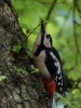 Filename=000023_fotowilga~55.JPG
Filesize=279KB
Dimensions=525x700
Date added=Apr 22, 2018 000023_fotowilga~55.JPG