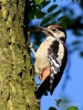 Filename=0000242_fotowilga~50.JPG
Filesize=369KB
Dimensions=525x700
Date added=Jun 12, 2019 0000242_fotowilga~50.JPG