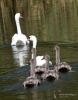 Filename=0000256_fotowilga~0.JPG
Filesize=322KB
Dimensions=550x700
Date added=Nov 01, 2021 0000256_fotowilga~0.JPG
