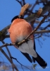 Filename=000026_fotowilga~0.JPG
Filesize=270KB
Dimensions=501x700
Date added=Feb 20, 2021 000026_fotowilga~0.JPG