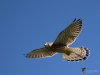 Filename=0000273_fotowilga~23.JPG
Filesize=208KB
Dimensions=700x525
Date added=Oct 10, 2018 0000273_fotowilga~23.JPG