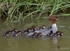 Filename=0000296_fotowilga.JPG
Filesize=331KB
Dimensions=700x513
Date added=May 16, 2021 0000296_fotowilga.JPG