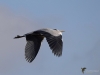 Filename=00002_fotowilga.JPG
Filesize=202KB
Dimensions=700x525
Date added=Nov 04, 2019 00002_fotowilga.JPG