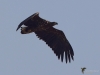 Filename=0000316_fotowilga~0.JPG
Filesize=226KB
Dimensions=700x529
Date added=Feb 01, 2022 0000316_fotowilga~0.JPG