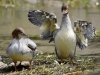 Filename=0000357_fotowilga~31.JPG
Filesize=310KB
Dimensions=700x525
Date added=Jul 16, 2019 0000357_fotowilga~31.JPG