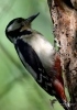 Filename=0000369_fotowilga~0.JPG
Filesize=274KB
Dimensions=495x700
Date added=Nov 15, 2022 0000369_fotowilga~0.JPG