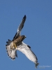 Filename=0000378_fotowilga~23.JPG
Filesize=220KB
Dimensions=525x700
Date added=Jul 29, 2018 0000378_fotowilga~23.JPG