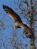 Filename=0000389_fotowilga~29.JPG
Filesize=398KB
Dimensions=525x700
Date added=Dec 18, 2019 0000389_fotowilga~29.JPG