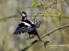 Filename=000039_fotowilga~38.JPG
Filesize=94KB
Dimensions=640x480
Date added=Apr 02, 2017 000039_fotowilga~38.JPG