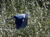 Filename=00003_fotowilga~0.JPG
Filesize=417KB
Dimensions=700x525
Date added=Nov 01, 2019 00003_fotowilga~0.JPG