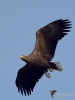 Filename=0000402_fotowilga~34.JPG
Filesize=253KB
Dimensions=525x700
Date added=Nov 04, 2019 0000402_fotowilga~34.JPG