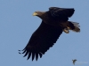 Filename=0000403_fotowilga~30.JPG
Filesize=229KB
Dimensions=700x525
Date added=Nov 07, 2019 0000403_fotowilga~30.JPG