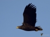 Filename=0000404_fotowilga~28.JPG
Filesize=222KB
Dimensions=700x525
Date added=Nov 04, 2019 0000404_fotowilga~28.JPG