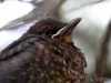 Filename=0000413_fotowilga~14.JPG
Filesize=257KB
Dimensions=700x525
Date added=May 25, 2018 0000413_fotowilga~14.JPG