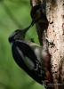 Filename=0000414_fotowilga.JPG
Filesize=277KB
Dimensions=508x700
Date added=Jun 24, 2021 0000414_fotowilga.JPG