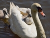 Filename=0000449_fotowilga~14.JPG
Filesize=244KB
Dimensions=700x525
Date added=Jun 09, 2019 0000449_fotowilga~14.JPG