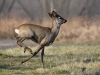 Filename=000049_fotowilga~56.JPG
Filesize=264KB
Dimensions=700x525
Date added=Apr 12, 2018 000049_fotowilga~56.JPG