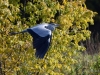 Filename=00005_fotowilga~60.JPG
Filesize=406KB
Dimensions=700x525
Date added=Oct 31, 2019 00005_fotowilga~60.JPG