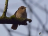 Filename=000062_fotowilga~57.JPG
Filesize=214KB
Dimensions=700x525
Date added=Jun 02, 2019 000062_fotowilga~57.JPG
